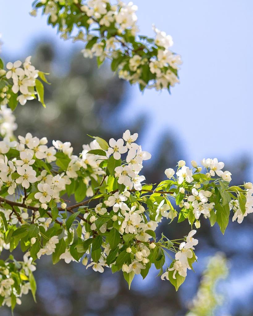 🌸WEEKEND 🙌 #friyay #fridayvibes #itstheweekend ift.tt/2sLcKy0