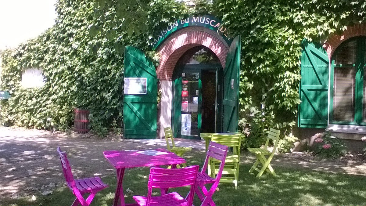 Nouveau service à la Maison du Muscadet !
Vous pouvez venir acheter votre bouteille fraîche et la déguster sur les tables et chaises dehors