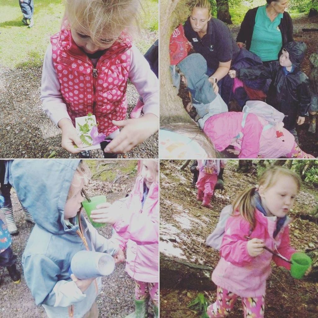 HindleapWarren's tweet photo. A great day had with #ForestRow #Preschool exploring the forest #WitchesTree #NaturalArt #SmellyCocktails https://t.co/YPEHT55SnJ https://t.co/0KGqoIKi6V