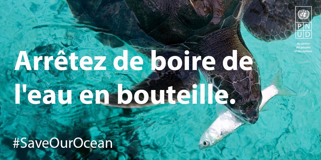 pnudfr's tweet photo. Nous pouvons tous agir pour l' #environnement ! Voici 10 gestes simples pr sauver nos océans : https://t.co/KasHfXXGqQ #SaveOurOcean @ONU_fr https://t.co/IK84BCutJA
