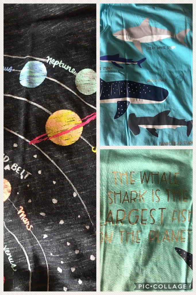 MrsAnnaBlack's tweet photo. #ap'sattire #kidsection #sharkweek https://t.co/6p6epdi2LJ https://t.co/hDTSwooIWG