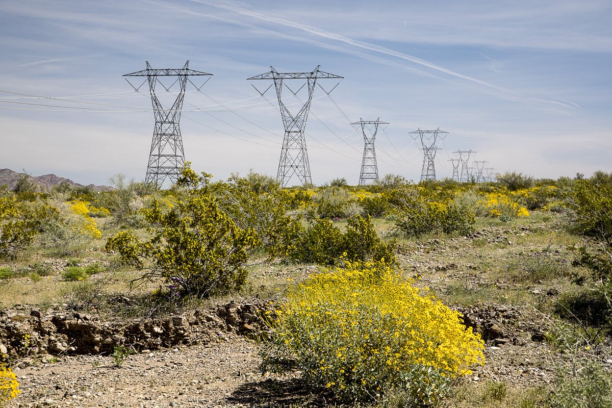 BLMNational's tweet photo. #DYK the BLM authorizes electric transmission lines? Read about @Interior infrastructure: https://t.co/uT0wVBMABT. #infrastructureweek2017 https://t.co/3RtCUxiKHR