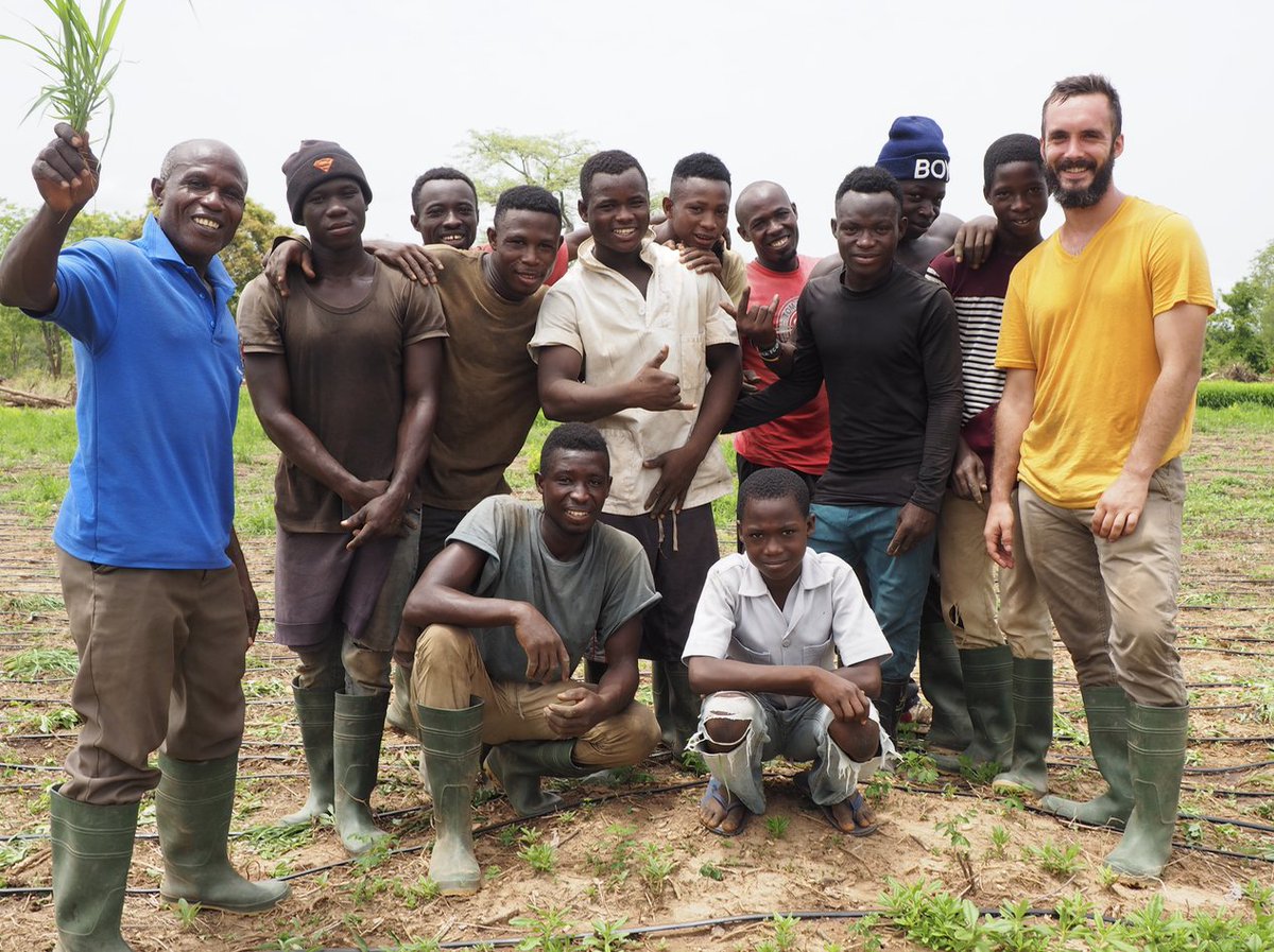 truemoringagh's tweet photo. Happy Friday from the moringa farm! https://t.co/wuiUkKERsK