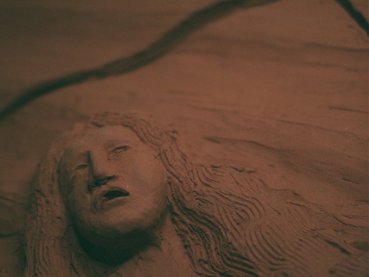 hugoryophoto's tweet image. #Polaroid669