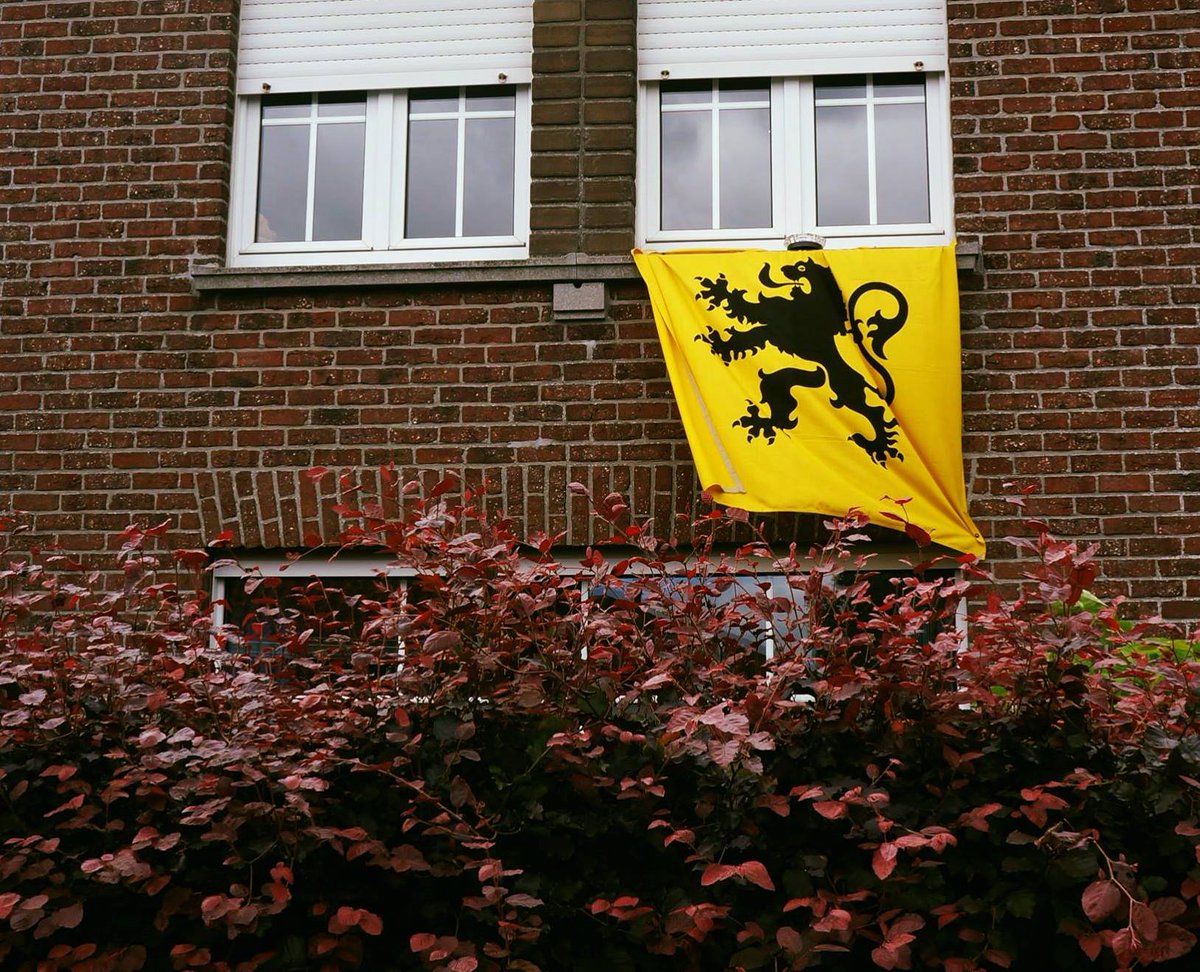 NVATielt's tweet photo. HANG UW VLAG UIT OP 11 JULI!
Bestel voor €1 uw eigen vlag.
Stuur een mail naar 11julitielt@gmail.com en vermeld uw naam, adres &amp; gsm-nummer. https://t.co/0P2g6ovPXJ