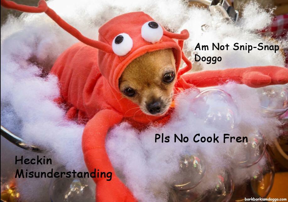 KrisComics's tweet photo. It's #DoggoFriday! https://t.co/Q52cb8qGZT