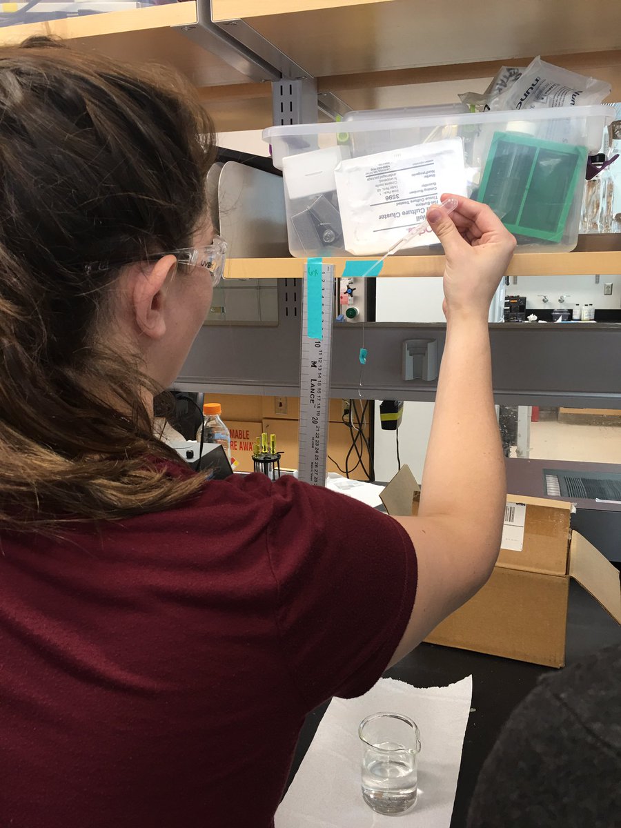 msmschem's tweet photo. Biomedical engineering--measuring suture strength #NCSSS17 @the_msms https://t.co/OtFQyCdRHq