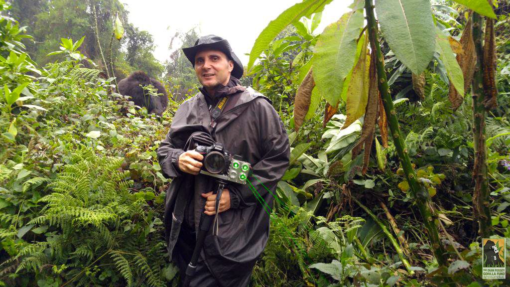 SavingGorillas's tweet image. How do you measure a gorilla from a distance? Read about some of the coolest studies to come out of Karisoke. dfgfi.org/2raGK4s