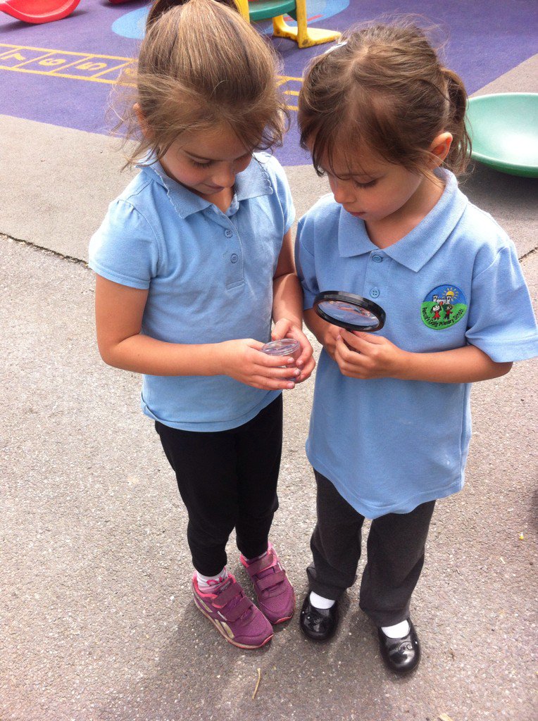PentrerGraig's tweet photo. Which minibeasts live in our school grounds? #pgpscience #pgprockets https://t.co/QAXP3OWLUW