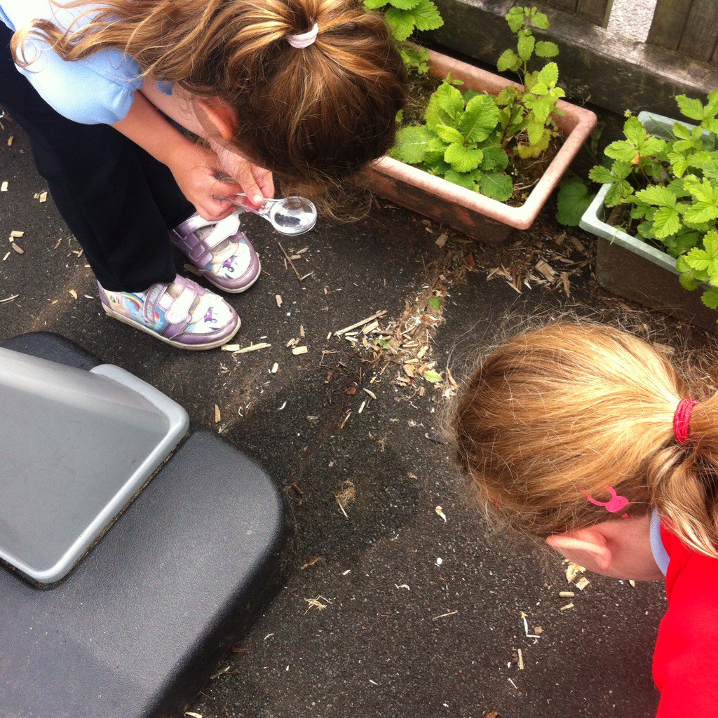 PentrerGraig's tweet photo. Which minibeasts live in our school grounds? #pgpscience #pgprockets https://t.co/QAXP3OWLUW