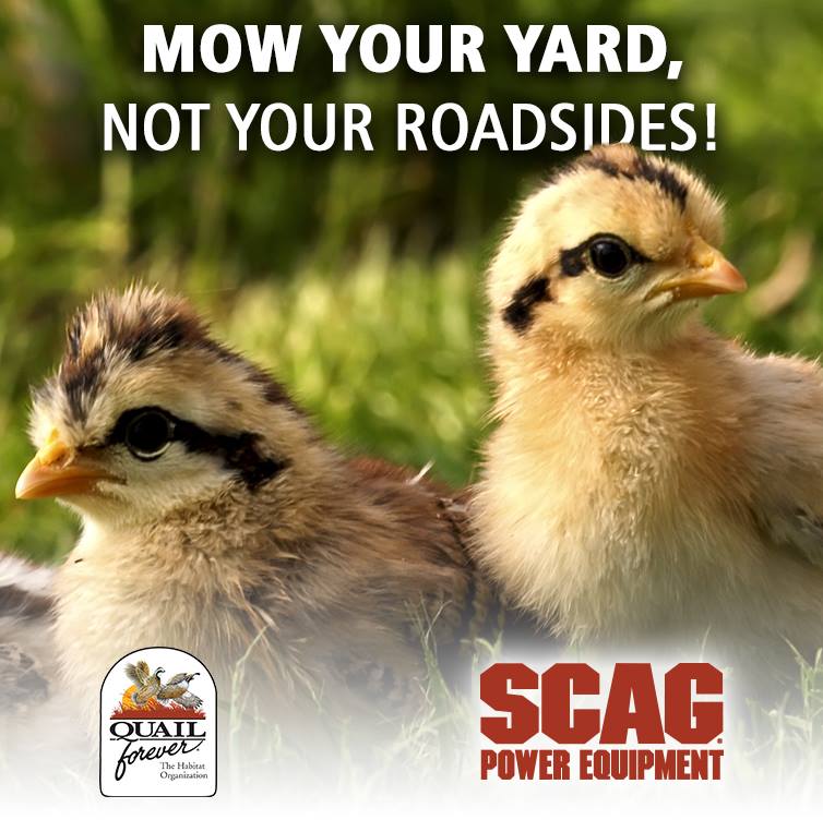 Give wildlife a break: Let ditches grow as habitat for birds, pollinators &amp; monarchs bit.ly/2rUHsVr <a href="/ScagPower/">Scag Power Equipment</a> <a href="/pheasants4ever/">Pheasants Forever</a>