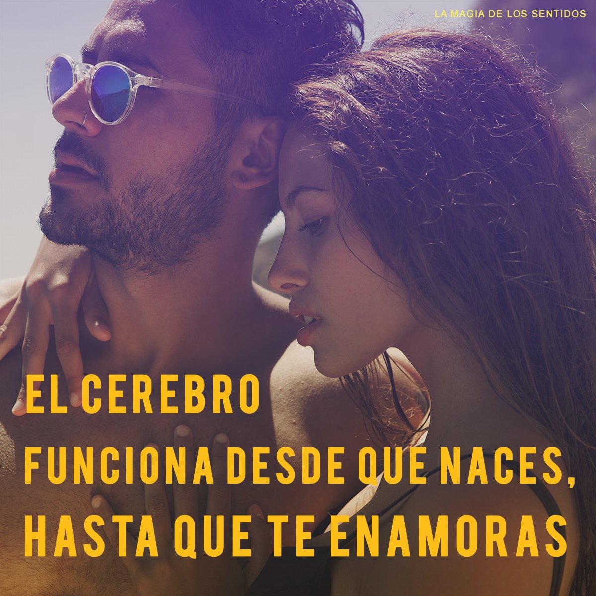 MagiasSentidos's tweet photo. https://t.co/9h7SMu4wV7