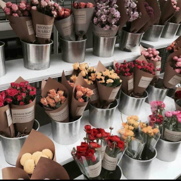 _LazIza's tweet photo. 🌸

،

.

لولآ آلحب لما بآعوآ #آلورد  ، 

. https://t.co/c8jILteqHL