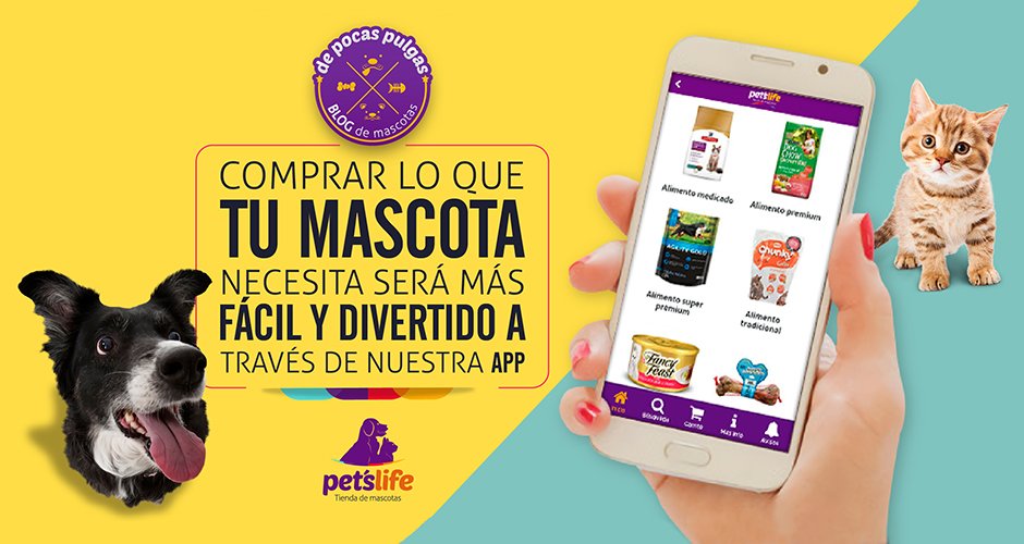PetsLifeco's tweet photo. Te damos las razones por las que comprar en nuestra App es la mejor opción: https://t.co/QkEjgHNDVB. #App #Aplicaciones #dog #cat #Colombia https://t.co/USmGwT3PCX
