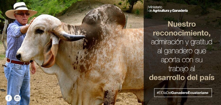 OVCorderoAhiman's tweet photo. Hoy celebramos #ElDíaDelGanaderoEcuatoriano , a quienes agradezco por su trabajo en bien del país. https://t.co/rK7Uo0HatC