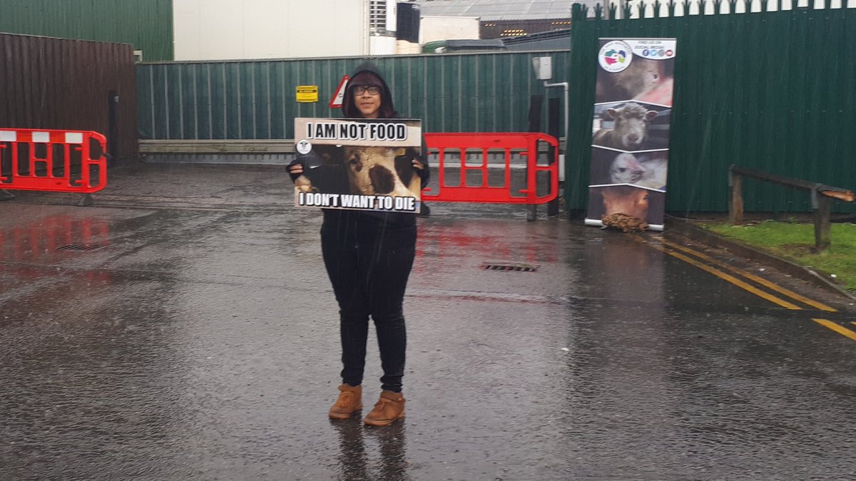 veganglobalnews's tweet photo. The Stark Reality of Saving - GUILDFORD ANIMAL SAVE 09.06.17. https://t.co/Crbg3YUqhz #AnimalRights #Activists #Vegan #animalliberation https://t.co/8qCn6kMgdR