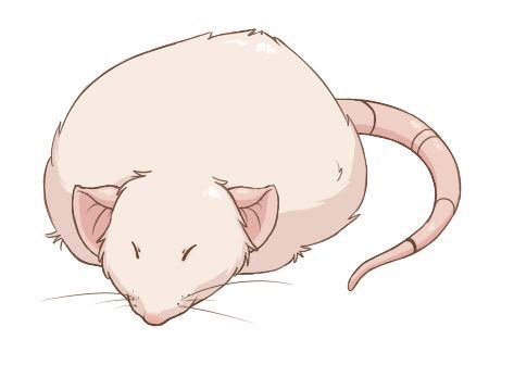 🐀Do you hate cleaning the emense amount of poop out of your rats cage? Get a mini vac! And just suck it all up in seconds! 🐀🐀