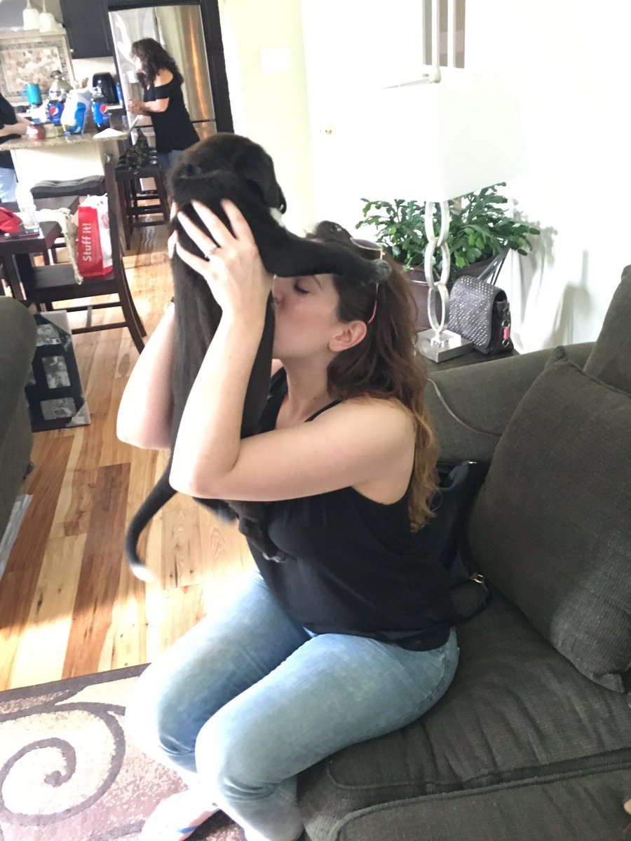 bufalino11's tweet photo. When my big bro surprises his fiancé with a new dog‼️🐾@B_Massaro https://t.co/k0V4DobxB2