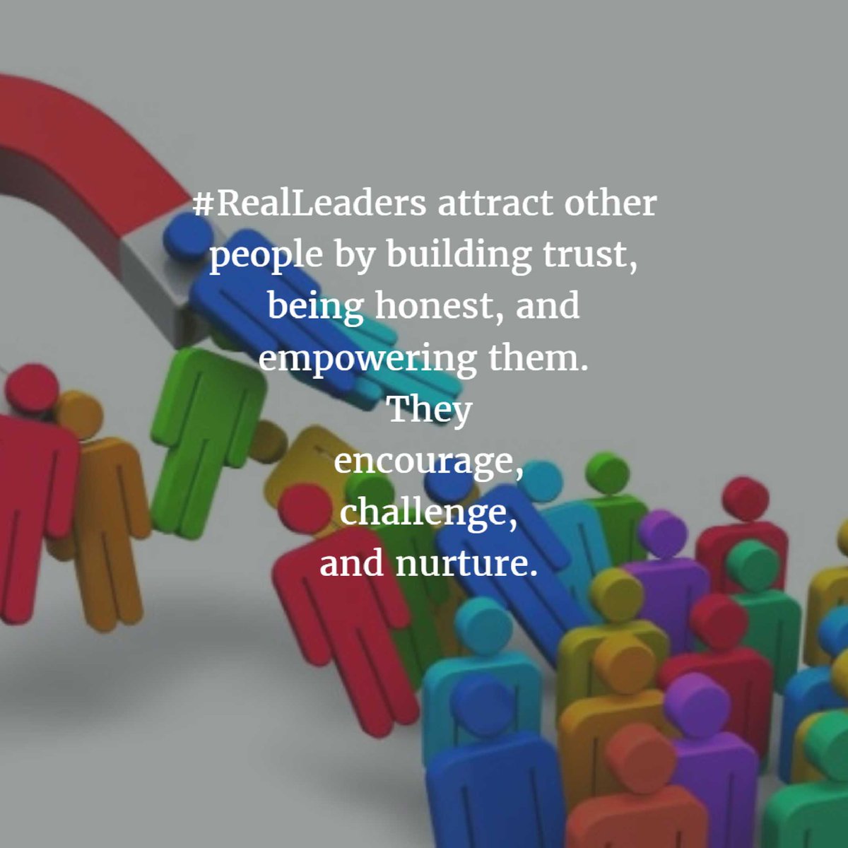 whyleadandhow's tweet image. 