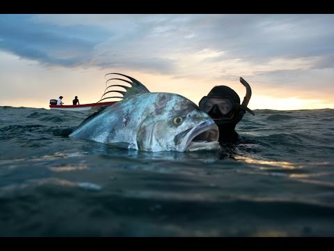 Fishing HQ tweet media