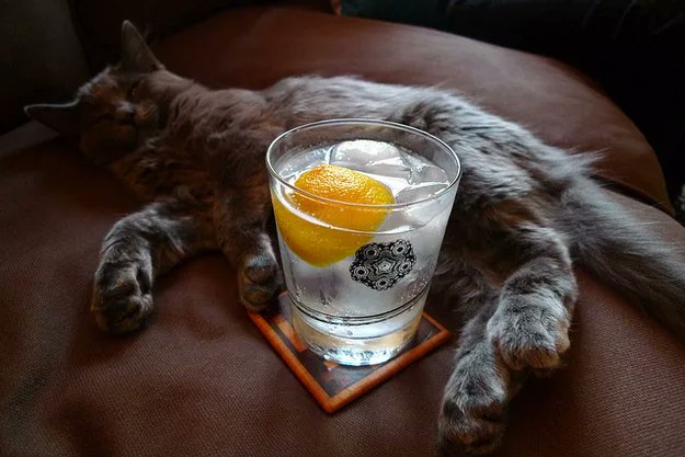 TreasuryMog's tweet photo. For the slightlier classier amongst you have your gin in a glass #WorldGinDay https://t.co/lolJUB6VNj
