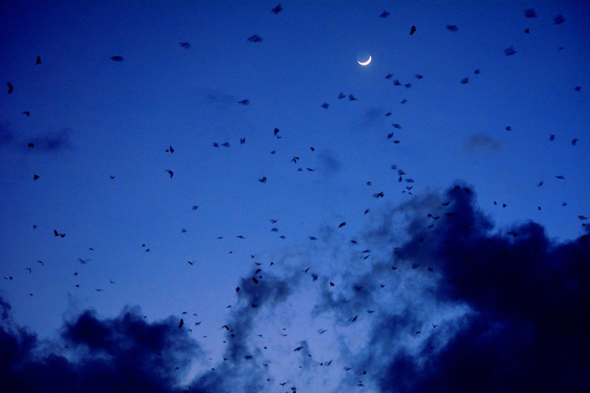 picsogasm's tweet photo. People have no idea how beautiful the darkness is. © #picsogasm #lavasa @NGTIndia @Pune https://t.co/R1PBzOj7Jv