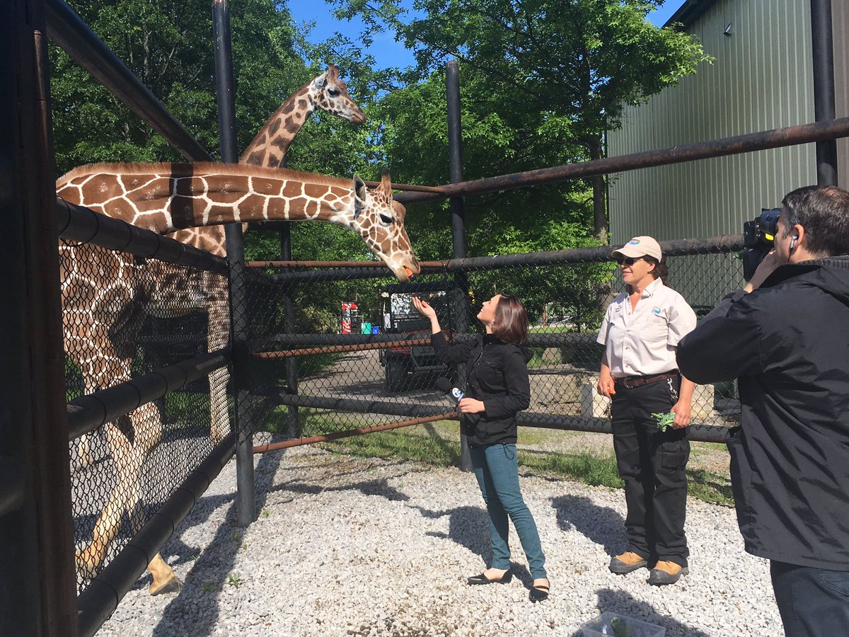 Courtney_CorbTV's tweet photo. The @am_buffalo team had a wild time @SafariNiagara! Take a trip outback tomorrow on #AMBuffaloWeekend! 🌾 https://t.co/dsRkYEZ4qK