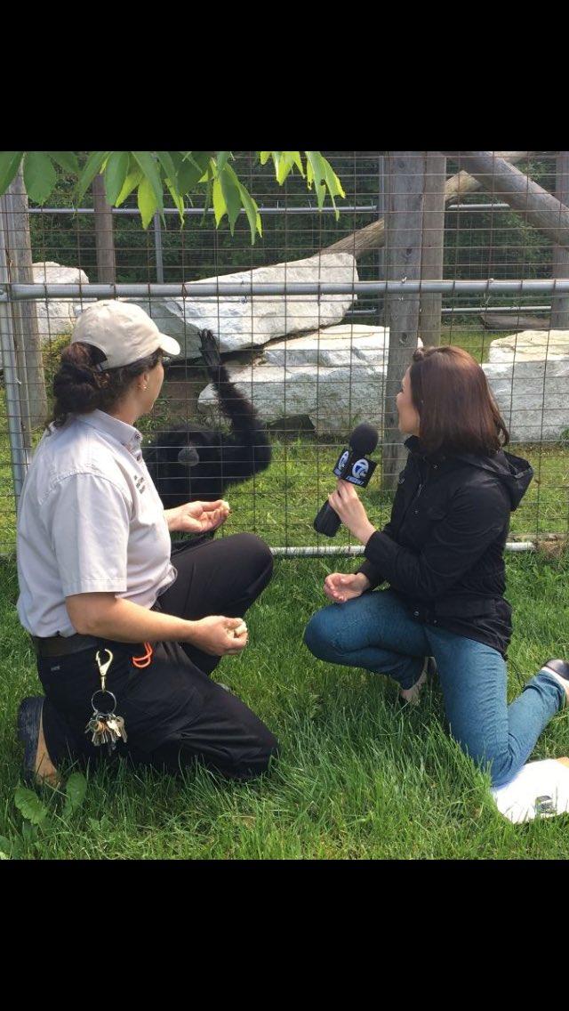 Courtney_CorbTV's tweet photo. The @am_buffalo team had a wild time @SafariNiagara! Take a trip outback tomorrow on #AMBuffaloWeekend! 🌾 https://t.co/dsRkYEZ4qK