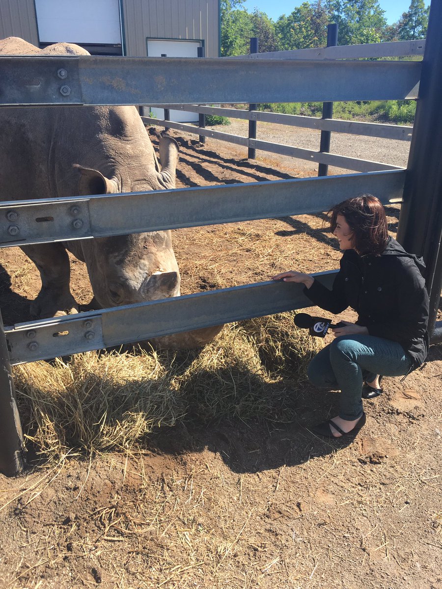 Courtney_CorbTV's tweet photo. The @am_buffalo team had a wild time @SafariNiagara! Take a trip outback tomorrow on #AMBuffaloWeekend! 🌾 https://t.co/dsRkYEZ4qK