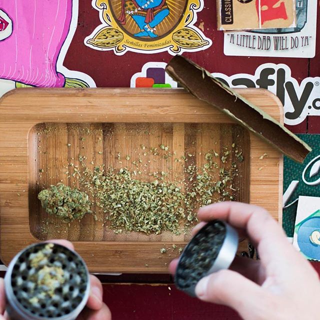 Rollaboards's tweet photo. A Cali Trainwreck kinda Mornings by the Mighty @stoneyxochi_ #rawboo #rollaboard #rollaboards #rollingtray #rollingtrays https://t.co/Jj0iKrDalH