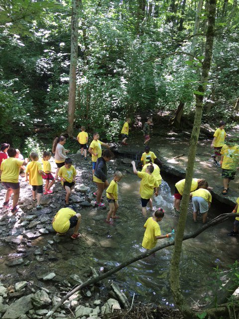 Fitton Family Y tweet media