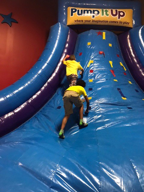 Fitton Family Y tweet media