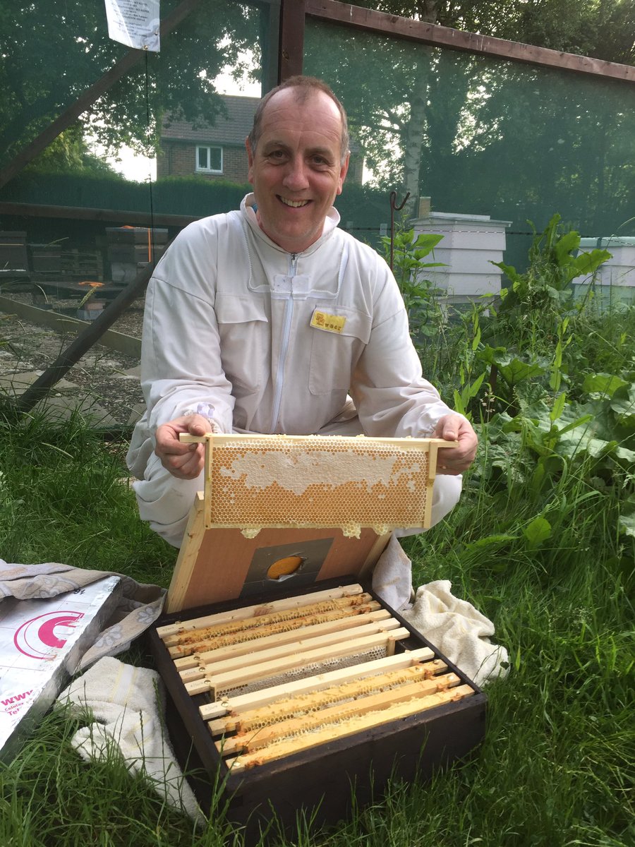 York Beekeepers tweet media