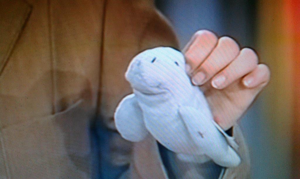 tvargsiempre's tweet photo. Happy Birthday, @maebirdwing ! I give you a Beanie Baby for your collection! Lot of love and winks! <3 https://t.co/R4YTxmyOnF