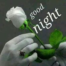 MeireEliz's tweet photo. @barbuleta2 @nevoghazal @MARIALUISAMAR5 @LatofaOb @CivilizedEngr @clementgzsm @abdulhamidkhank @royca60 @safsafayoub @Khaledwalid1953 @Naeemsheikh0021 @bobbygreyone @MenAlyemen_ye @zuk60 @N1S2qhhRaCHnXKG @nico_gaia @nt_wzd @pat_be001 @symphonie85 @dwauthyboehme @DreamKissyo @Nora1N_N @aldry1061 @Abomoha31857833 @adriatic_sea_ @elsufuen @dazerac @ekenmehmetzeki @RojoLaDama @FeryChintec @pouramours @marizulca @arwaq10 @hussain_deborah @MariaLima369 @henrirouen @Abumoha14473310 @InderMendiratta @dilruba_lees Hola amiga, feliz fin de semana y amigos https://t.co/GV4mhUldWP