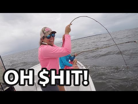 Fishing HQ tweet media