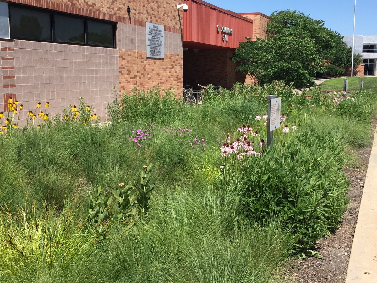 OlatheGeo's tweet photo. Monarch has found the Geo Rain Garden in full bloom! #migrationstation #ONTeach @Olathe21st https://t.co/Zv6DGQa1nw