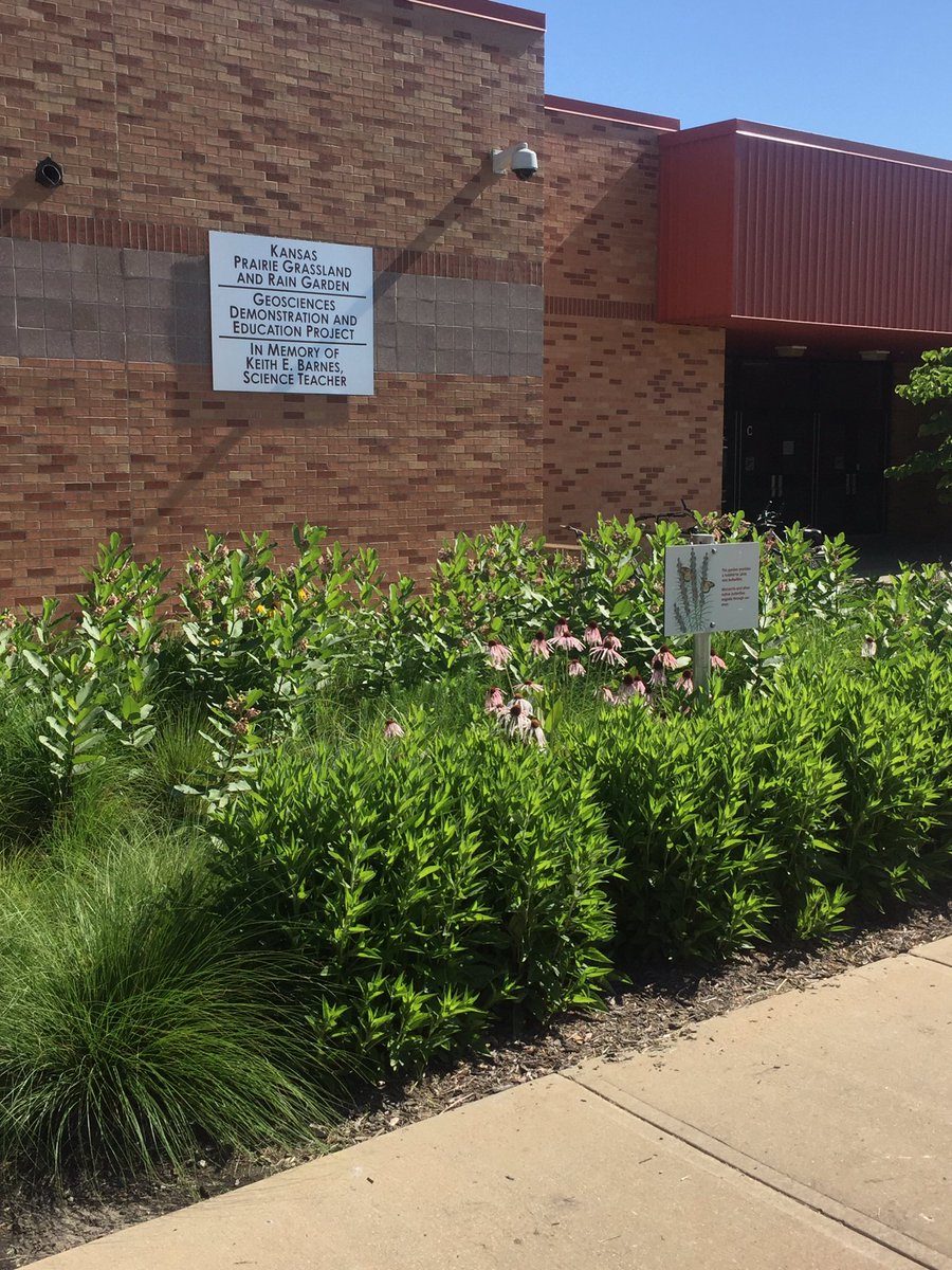 OlatheGeo's tweet photo. Monarch has found the Geo Rain Garden that is in full bloom! #migrationstation #ONTeach @Olathe21st https://t.co/ANJGXiOQH1