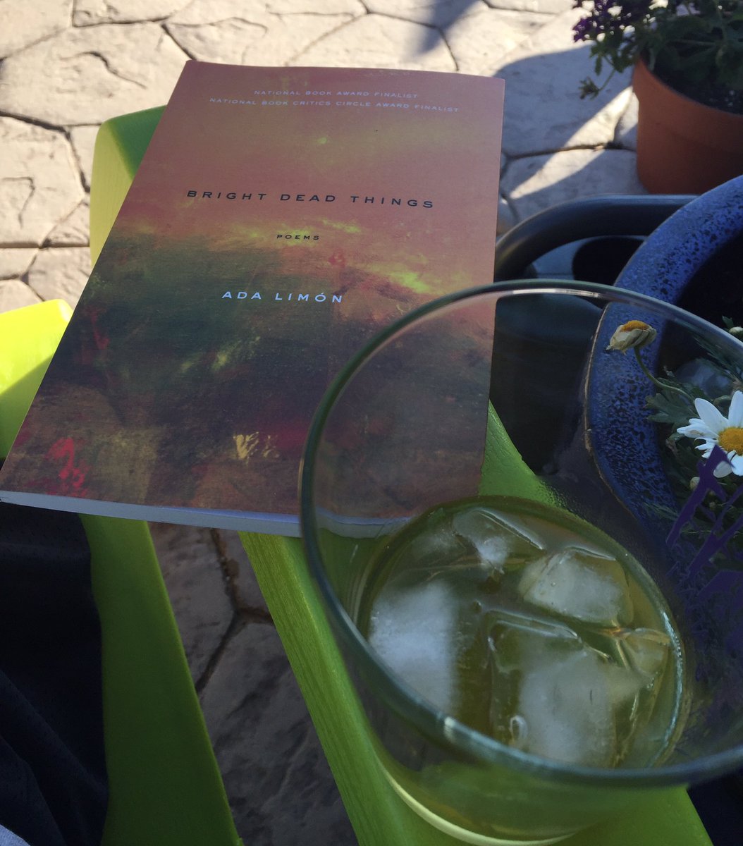UndiscoverPoem's tweet photo. I want to try &amp; be terrific, too! Enjoying my hour w/ @JimBeam and @adalimon. Thank you for pulling me into your poetry! #BrightDeadThings https://t.co/fSwWpiH2Lh