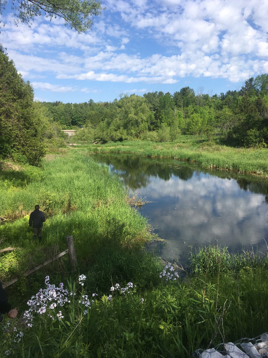 LSRCA's tweet photo. What a beautiful view at #ScanlonCreek today! It's going to be a beautiful weekend -stop by for a hike or picnic &amp; enjoy the scenery 🌳🌞 https://t.co/ATL4V2mDTt