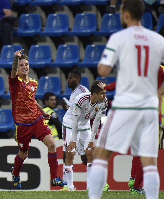 View image on Twitter