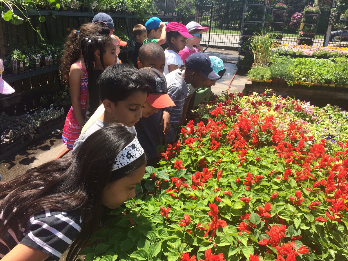 Mrs_A_Edwards's tweet photo. We went for a walk to the Mississauga Greenhouse today to get some fresh herbs 🌿 for our classroom! https://t.co/OpL4ltm2No