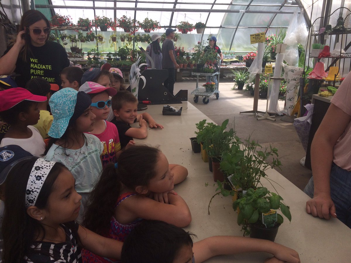 Mrs_A_Edwards's tweet photo. We went for a walk to the Mississauga Greenhouse today to get some fresh herbs 🌿 for our classroom! https://t.co/OpL4ltm2No