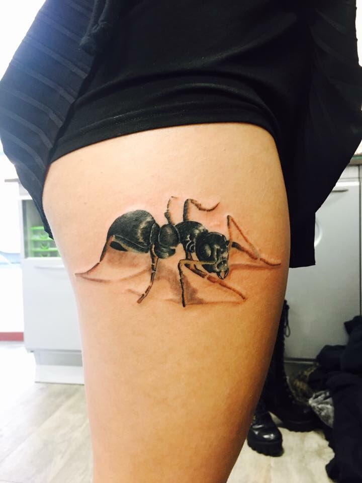 JhtRochier's tweet photo. #ink #tattoo #ant #girltattoo https://t.co/MADa44FM54