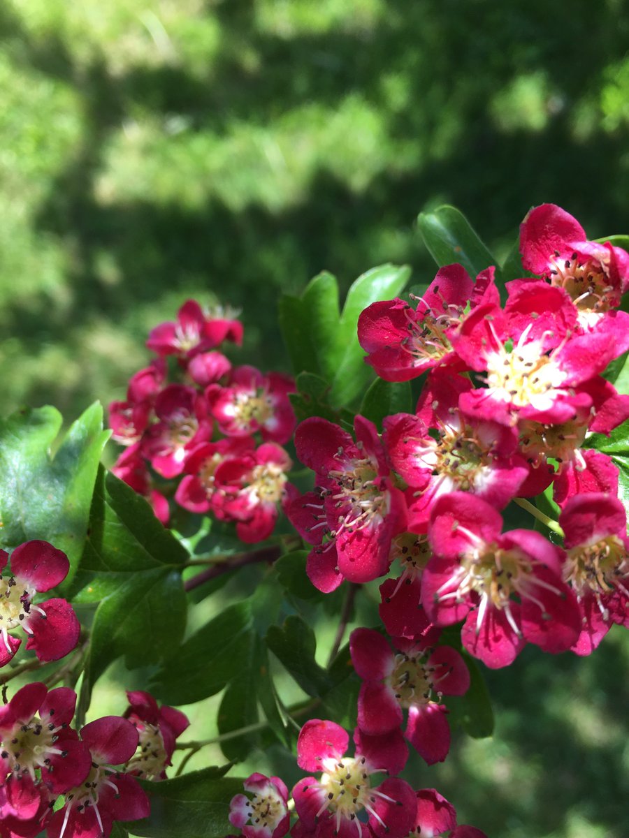 casingqueen's tweet image. Thought of the day: “Accept the chaos” 😜