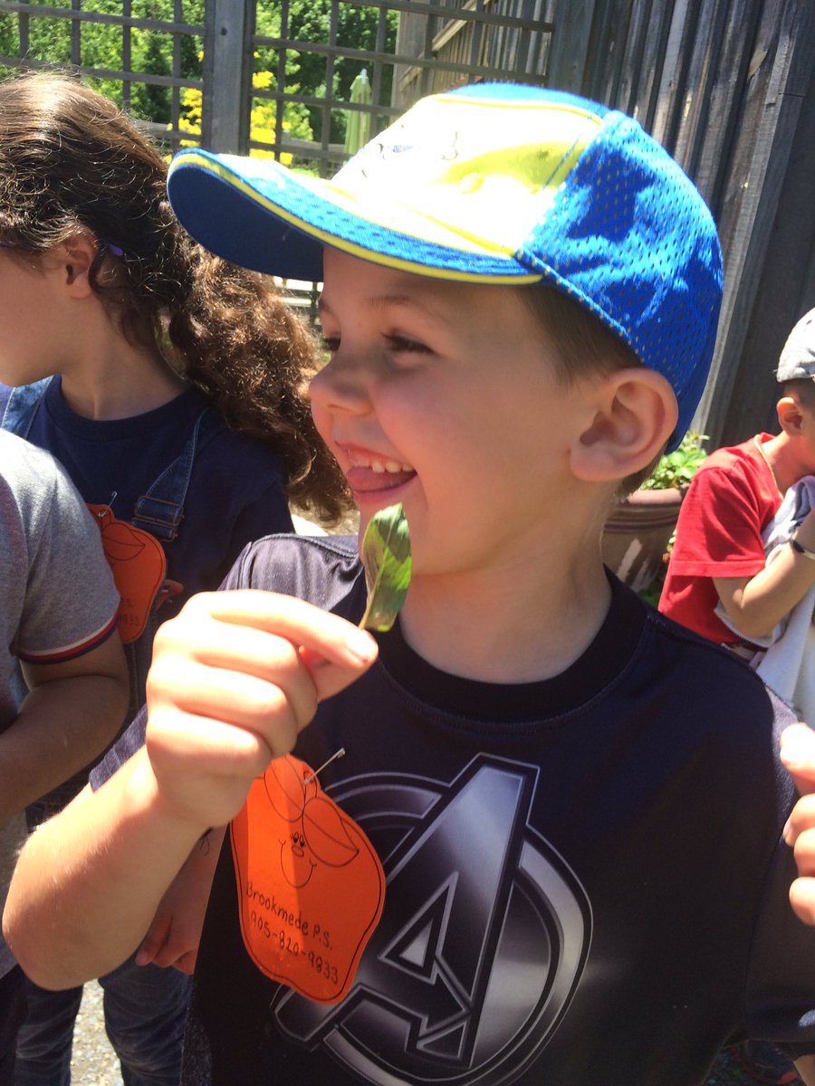 Mrs_A_Edwards's tweet photo. Here's a few photos from our trip Wednesday to @YourRiverwood The kids had so much fun! 🐛🐌🐢 https://t.co/qVVk64NjK7