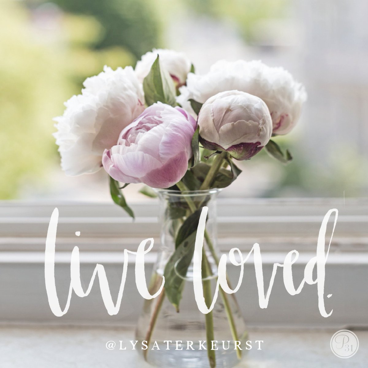 LysaTerKeurst's tweet photo. https://t.co/mXiUZYPVNp