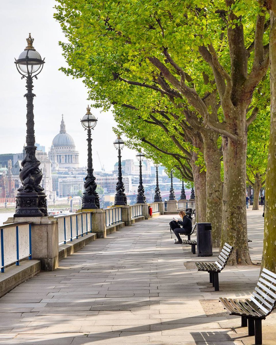 Thea_Jam's tweet image. 