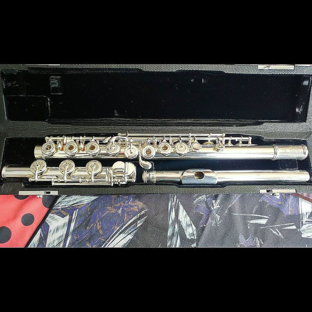 EireSwede's tweet photo. This loaded-up #heavywall all-sterling #Sankyo #601 #flute (with #soldered toneholes) is giving me LIIIIIIIIIFE! https://t.co/CIoew1gPRY https://t.co/7IroY9BGK0