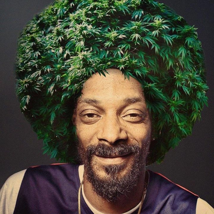 DankLounge tweet picture